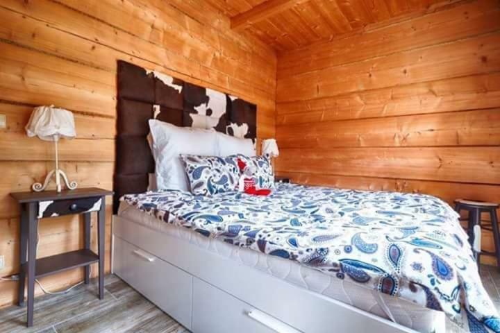קושצ'ליסקו Apartamenty Kierpcowka מראה חיצוני תמונה